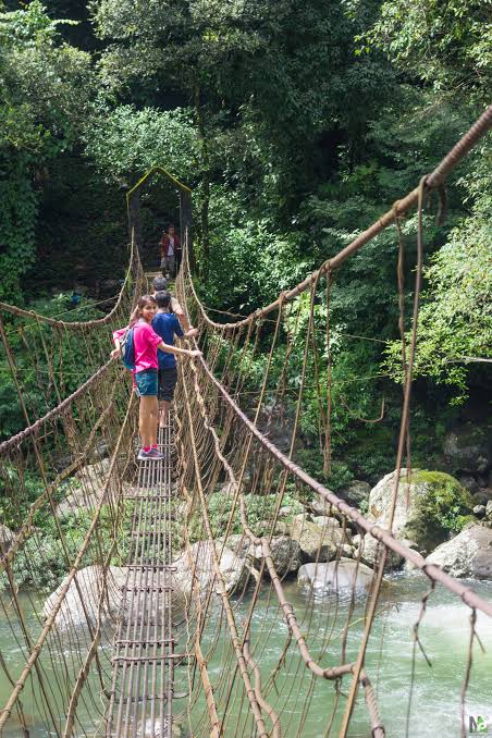 Root Bridge Trek