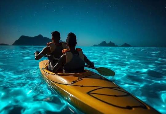 Dawki Boating
